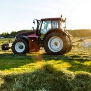 Agricultural Sector 